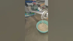 ناقل المسمار ينقل حبوب الكلى البيضاء # ناقل